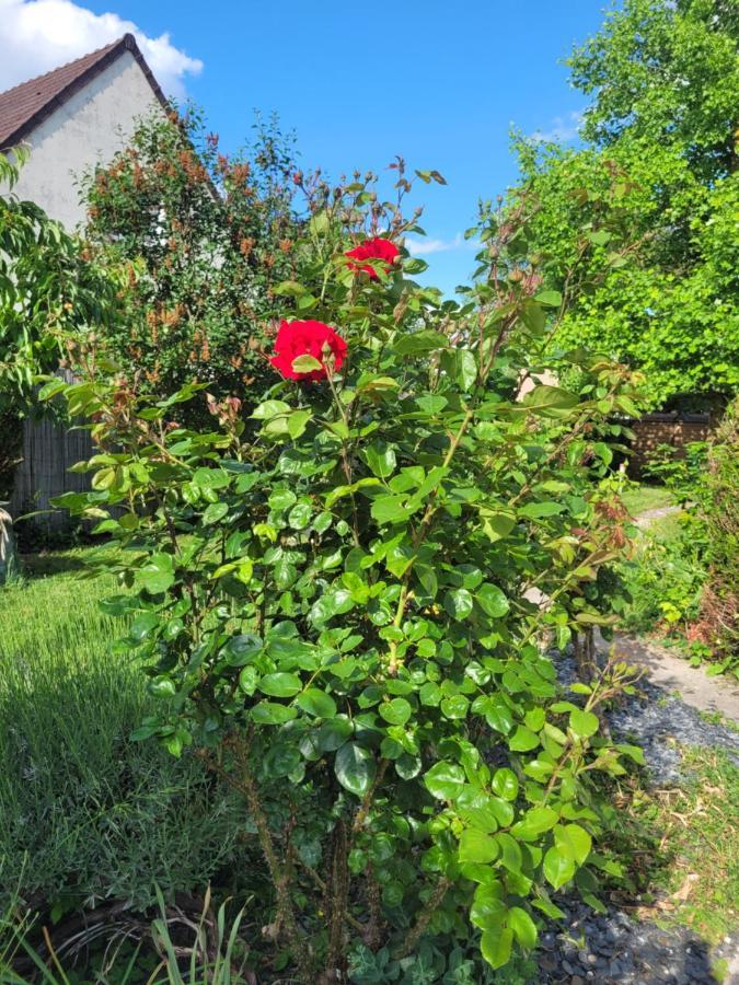 Cosy Room + Breakfast 20 Mn From Epernay Blancs-Coteaux Екстер'єр фото